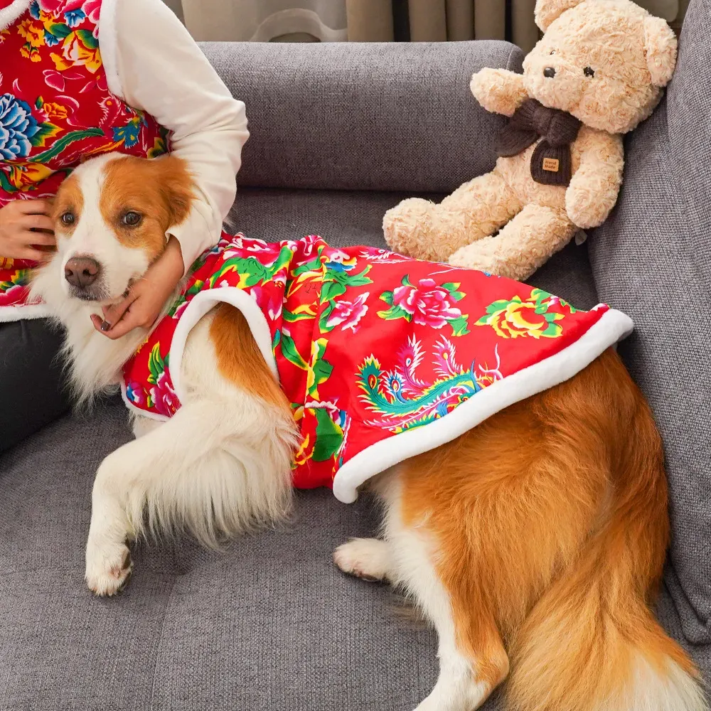 Pakaian anjing musim dingin 20 - Winter Clothing Name ulasan dan harga