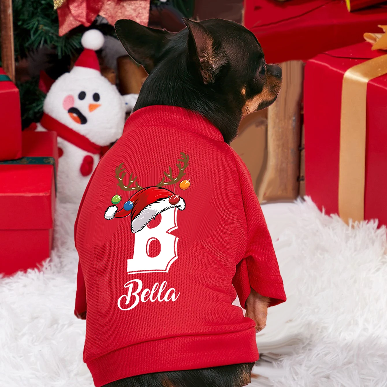 Pakaian anjing peliharaan Nata - Winter Clothing Name ulasan dan harga